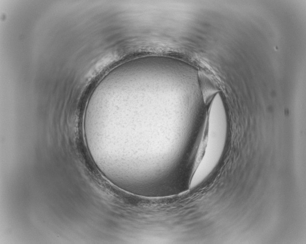 X0000088170679200706051117