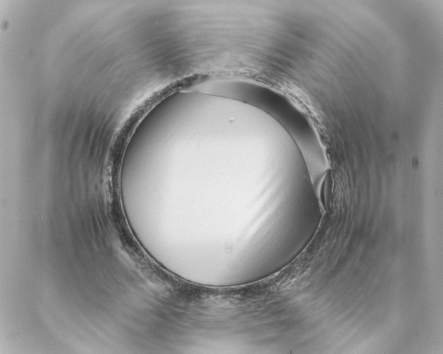 X0000088170680200706051117