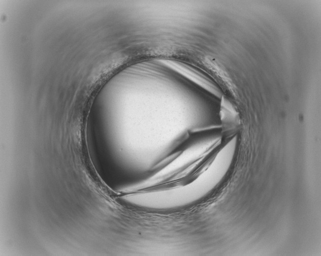 X0000088170681200706051117