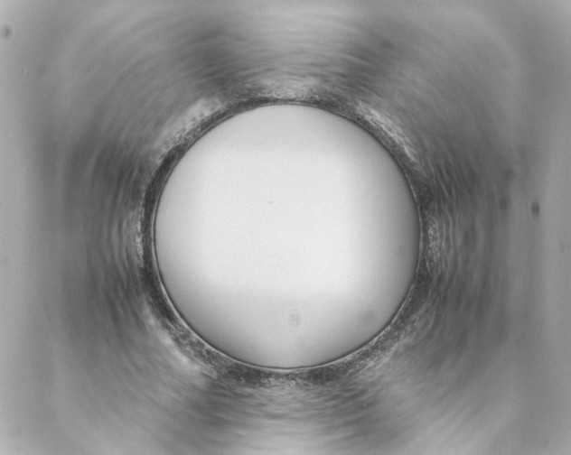 X0000088170682200706051117