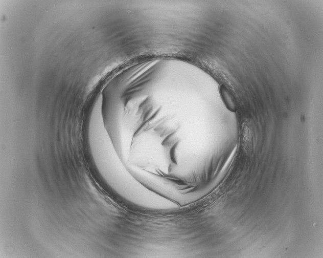 X0000088170684200706051117