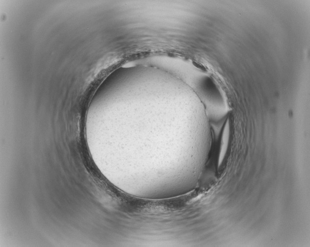 X0000088170685200706051117