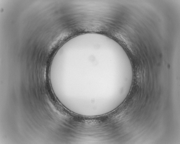 X0000088170686200706051117