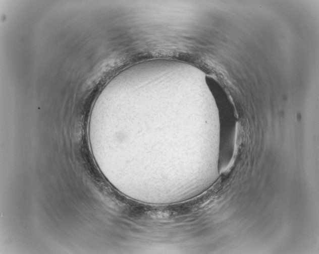 X0000088170687200706051117