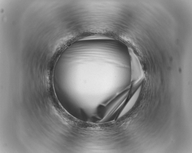 X0000088170688200706051117