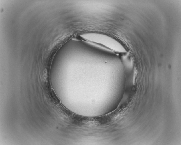 X0000088170689200706051117