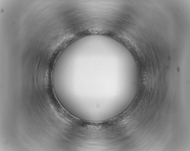 X0000088170690200706051117