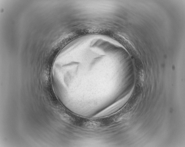 X0000088170691200706051117