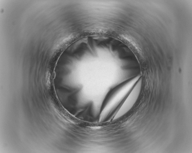 X0000088170692200706051117