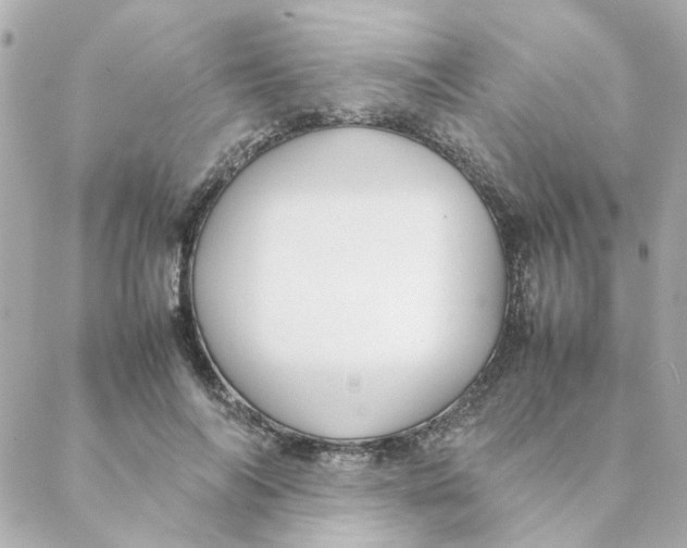 X0000088170694200706051117