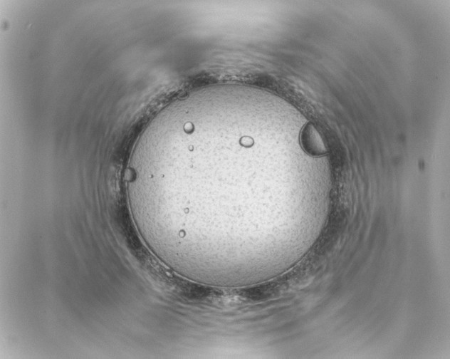 X0000088170695200706051117