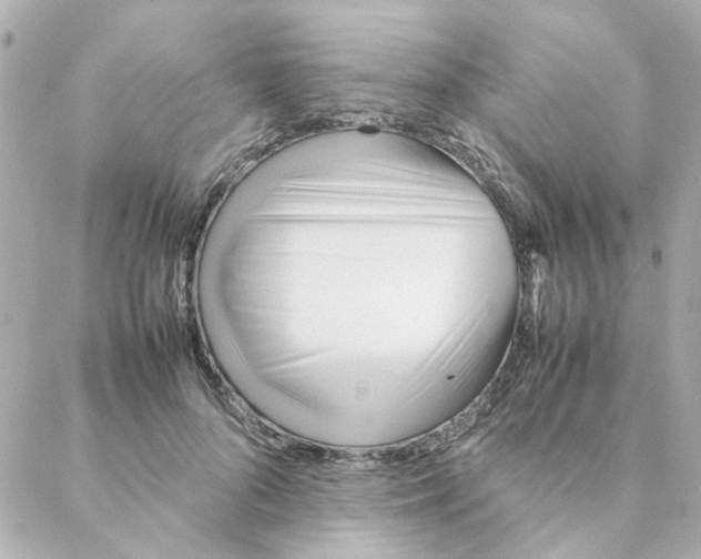 X0000088170696200706051117