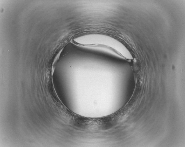 X0000088170697200706051117