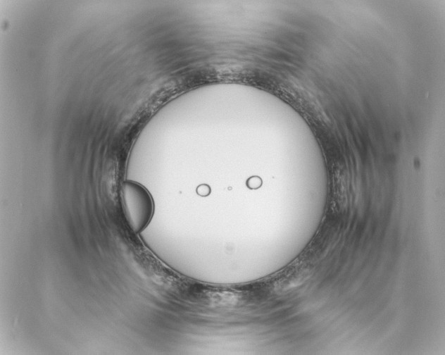 X0000088170698200706051117