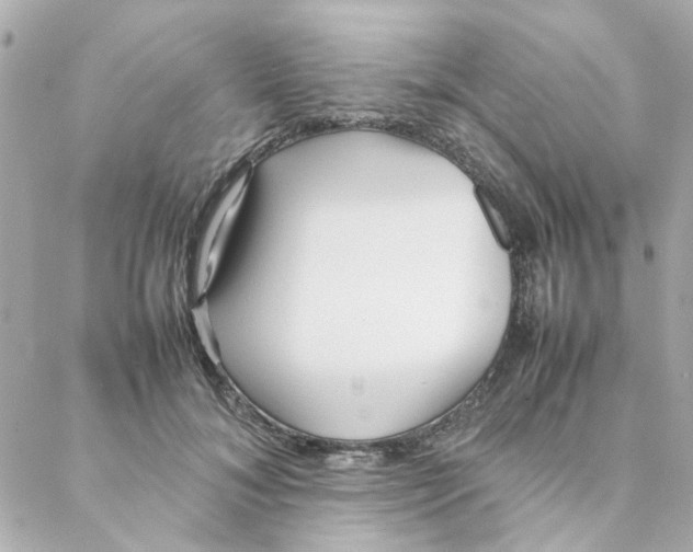 X0000088170700200706051117