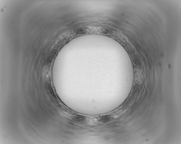 X0000088170701200706051117