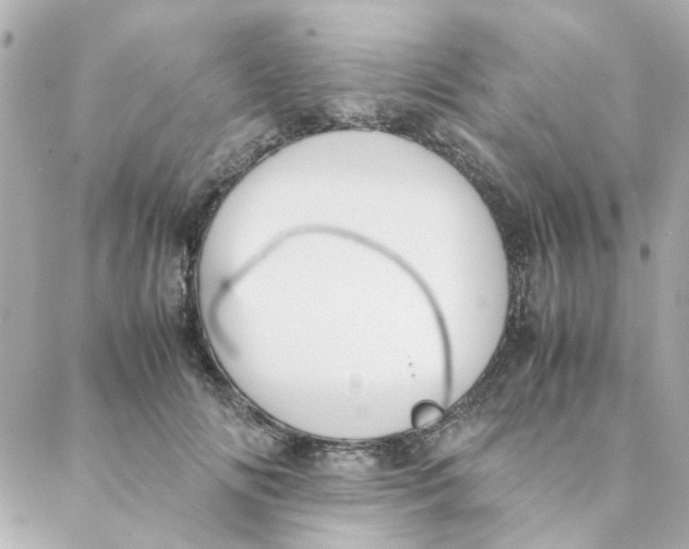 X0000088170702200706051117