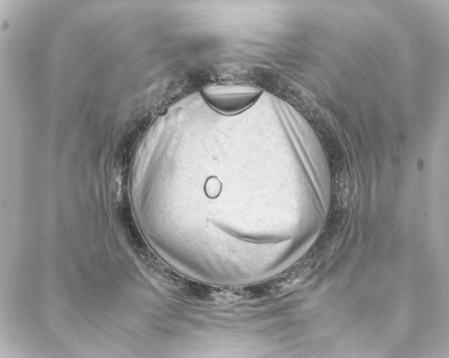 X0000088170703200706051117