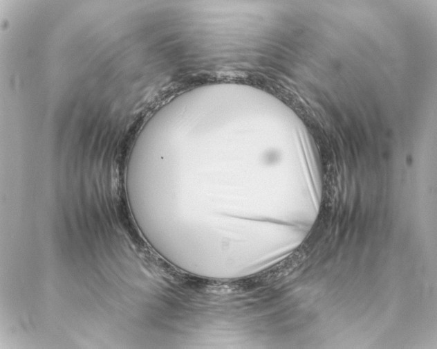 X0000088170704200706051117