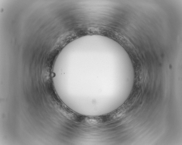 X0000088170706200706051117