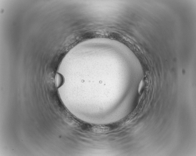 X0000088170707200706051117