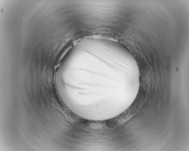 X0000088170708200706051117