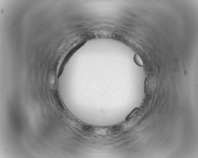 X0000088170709200706051116