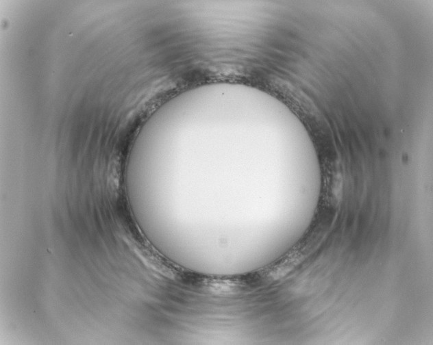 X0000088170710200706051116