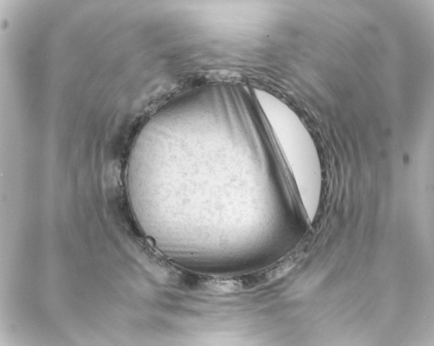 X0000088170711200706051116