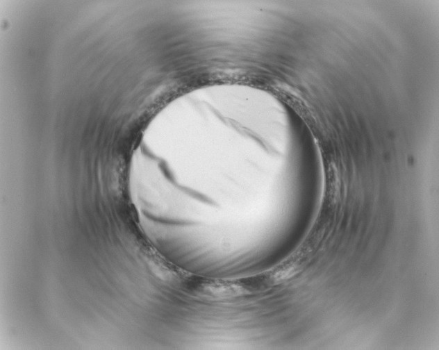 X0000088170712200706051116