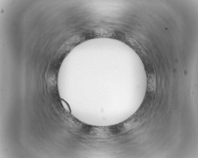 X0000088170713200706051116