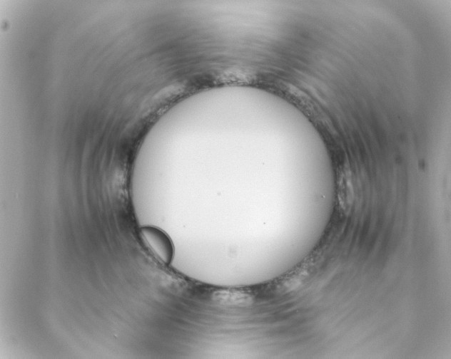 X0000088170714200706051116