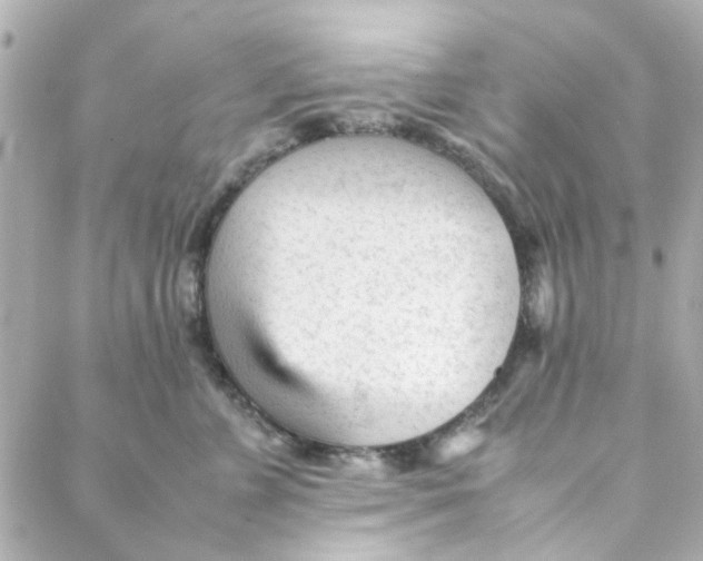 X0000088170715200706051116