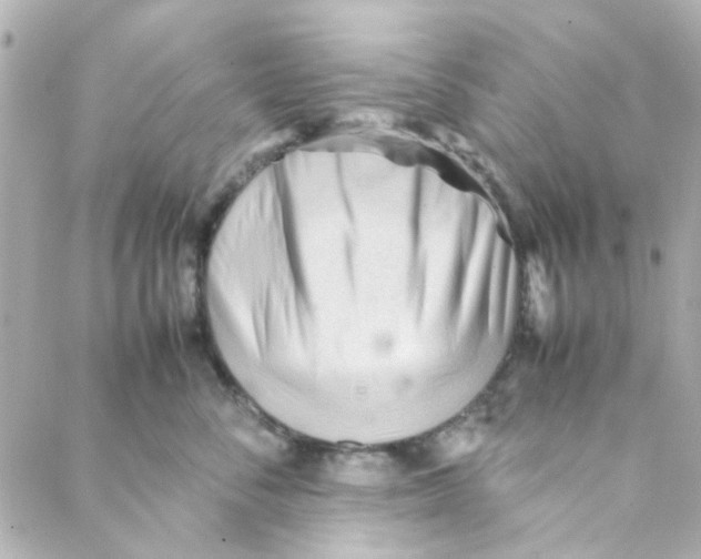 X0000088170716200706051116