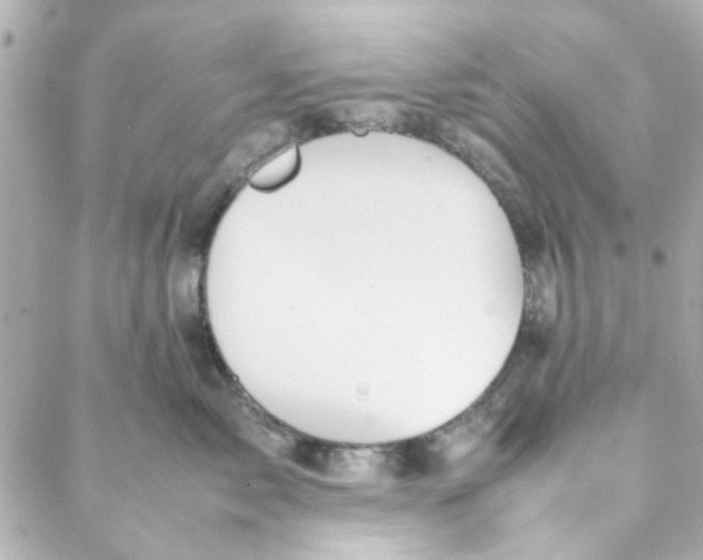 X0000088170717200706051116