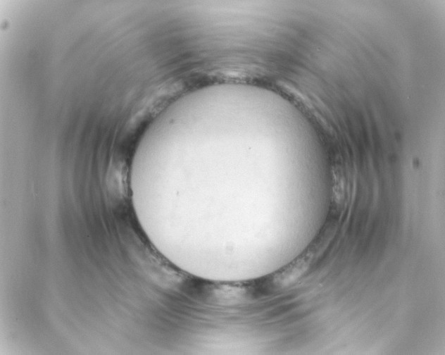 X0000088170718200706051116