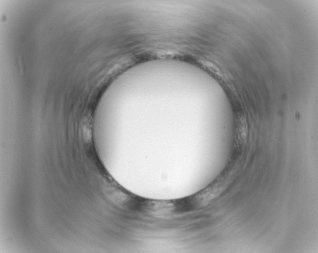 X0000088170719200706051116