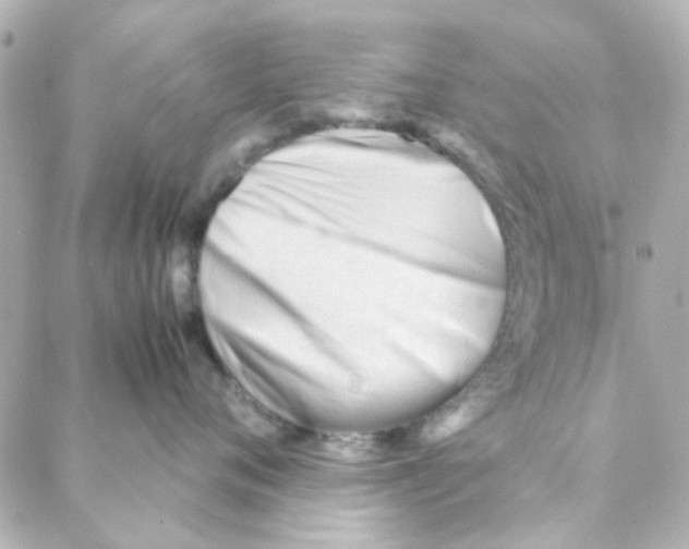 X0000088170720200706051116