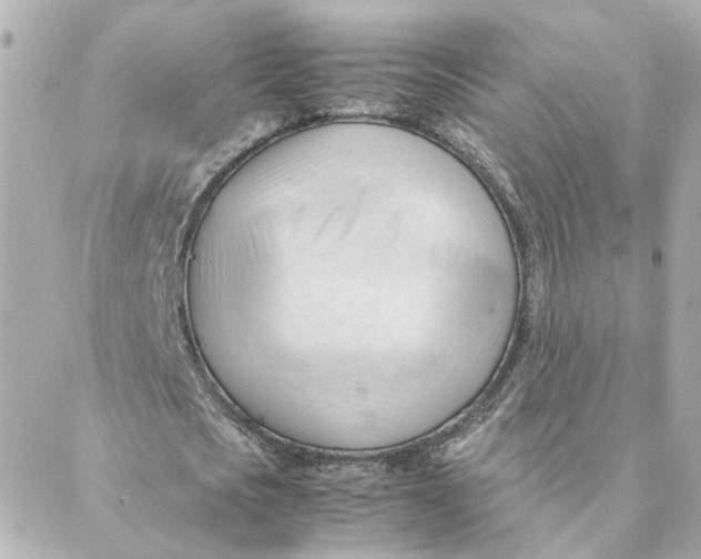 X0000088170721200706051116