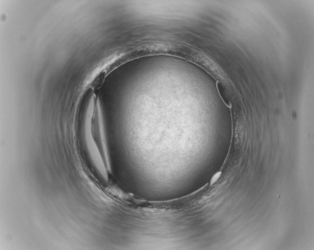 X0000088170722200706051116