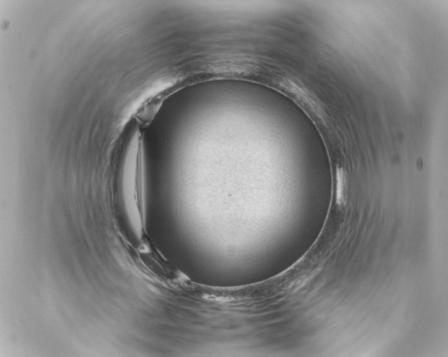 X0000088170723200706051116