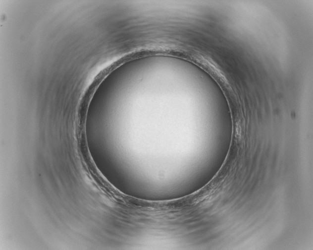 X0000088170724200706051116