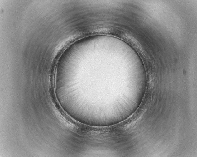 X0000088170725200706051116