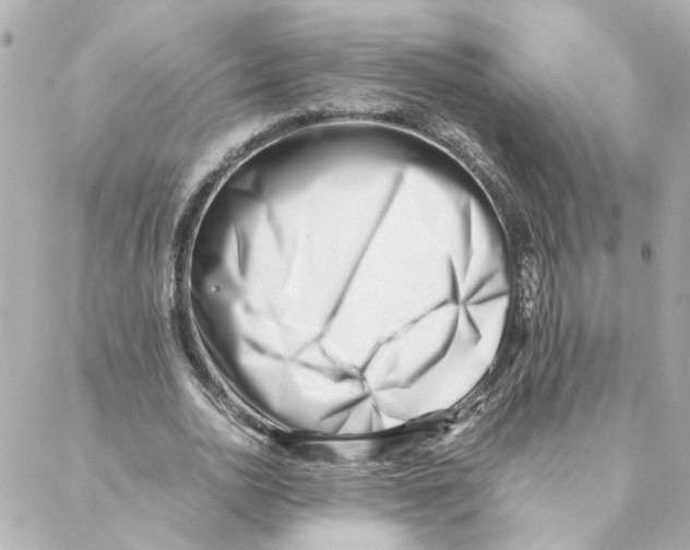 X0000088170726200706051116