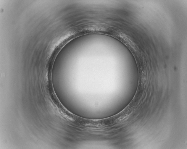 X0000088170727200706051116