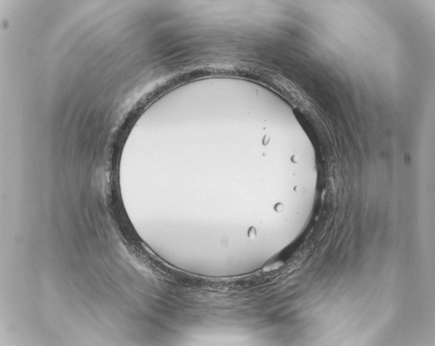 X0000088170728200706051116