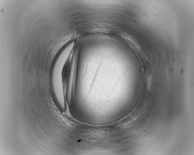 X0000088170729200706051116