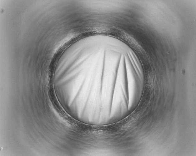 X0000088170730200706051116