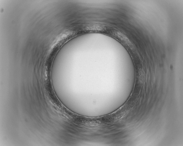 X0000088170731200706051116