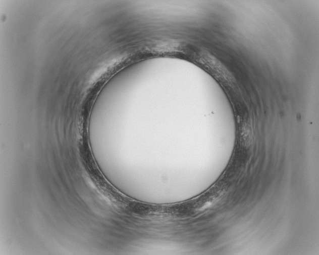 X0000088170732200706051116